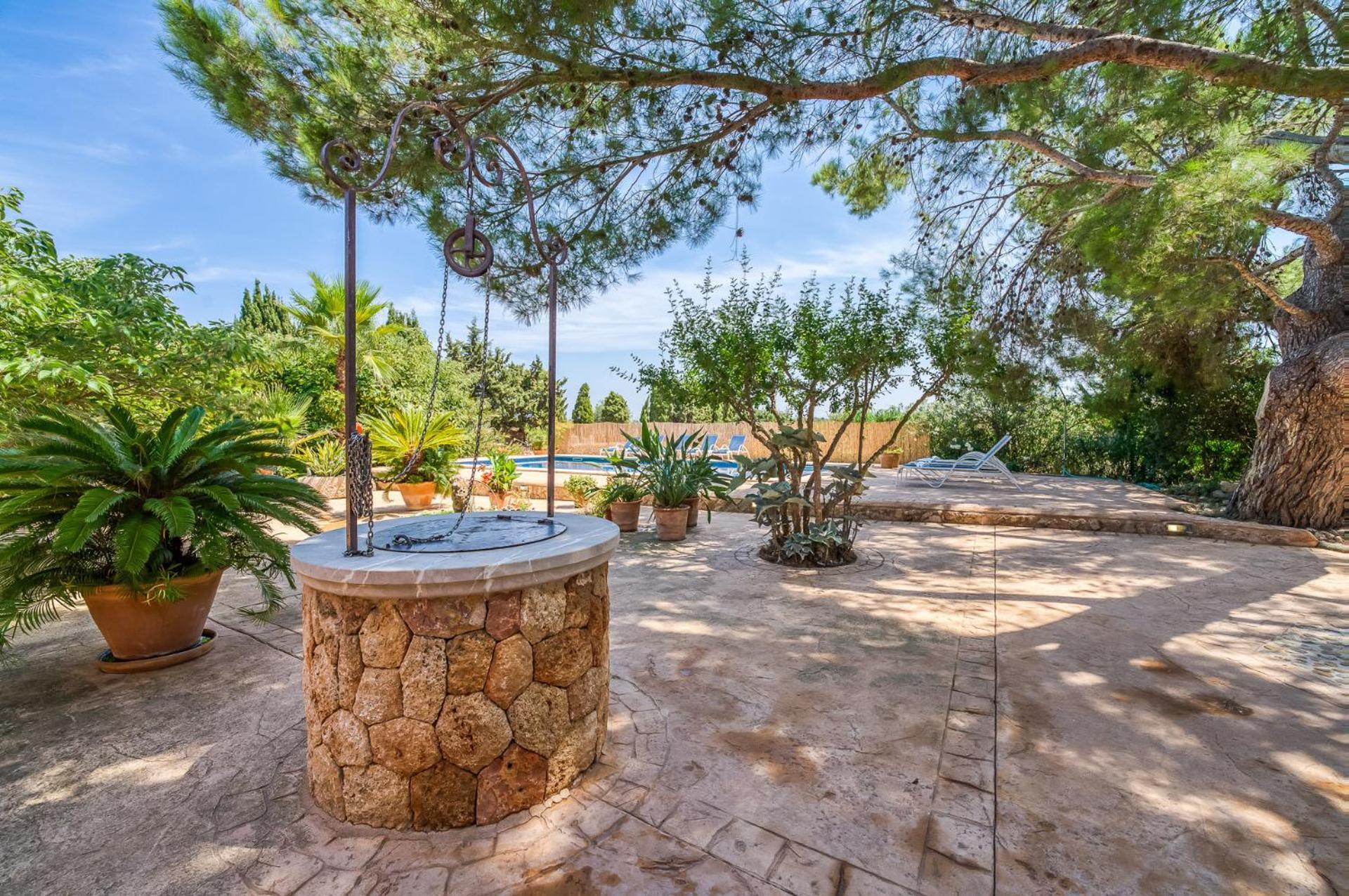 Ideal Mallorca - Ribas Can Picafort (Mallorca)