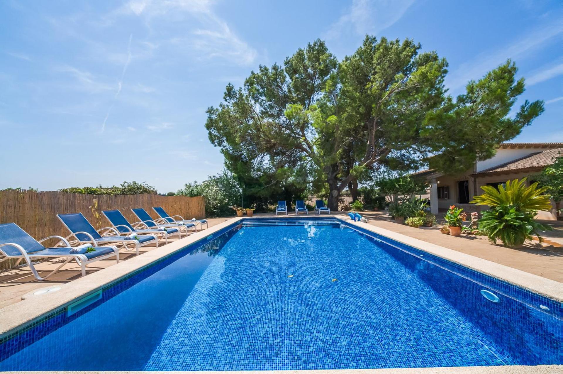 Ideal Mallorca - Ribas * Can Picafort (Mallorca)